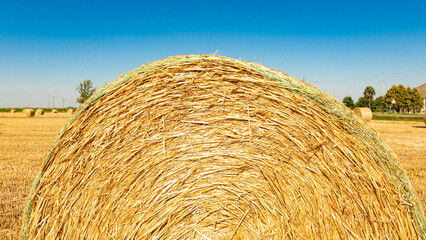 Straw balls on the agricultural field during summer sunny day