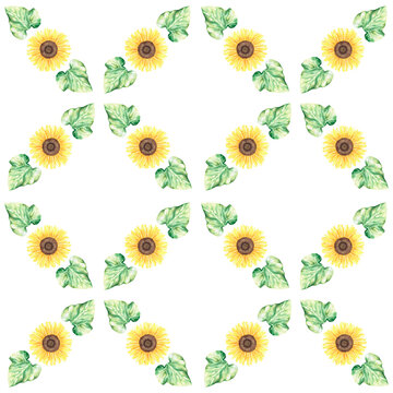 Sunflowers seamless pattern. Watercolor botanical illustration. Isolated on a white background.
