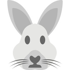 Rabbit Face