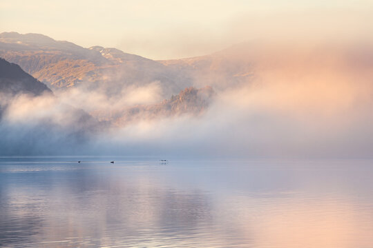 Geese flying low over calm and misty lake at dawn. Derwentwater, Keswick, Lake District, UK.