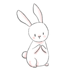 cute rabbit