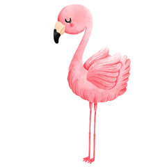 pink flamingo