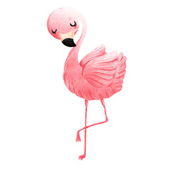 pink flamingo