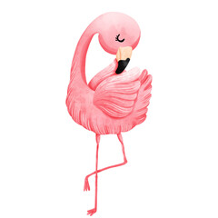 pink flamingo