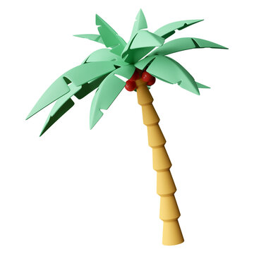 Palm tree isolated 3d render