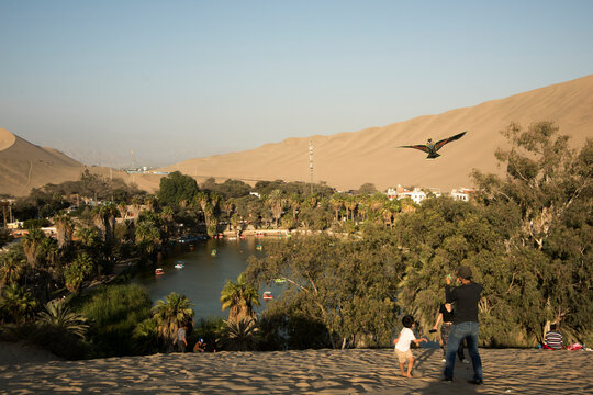 tourists in the desert Huacachina peruvian oasis ,Ica