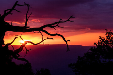 Grand Canyon National Park