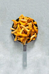 Chanterelle raw woodland mushrooms.