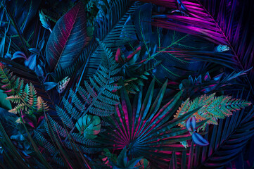 Creative layout installed with tropical colorful plants forest glow in the dark background.