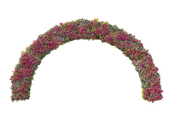 Flowers on a transparent background
