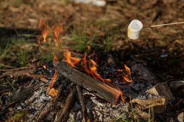 Roasting marshmallow on skewer over the bonfire in forest. The concept of adventure, travel, tourism and camping