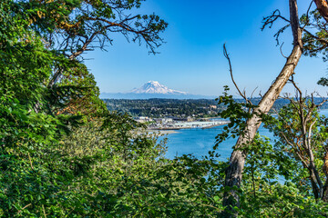 Washington Marina And Mountain 2