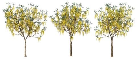 The tree has flowers on a transparent background
