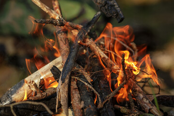 Close up of burning timber bonfire in summer forest..The concept of adventure, travel, tourism, camping, survival and evacuation.