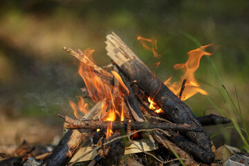 Close up of burning timber bonfire in summer forest..The concept of adventure, travel, tourism, camping, survival and evacuation.