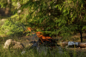 Close up of burning timber bonfire in summer forest..The concept of adventure, travel, tourism, camping, survival and evacuation.