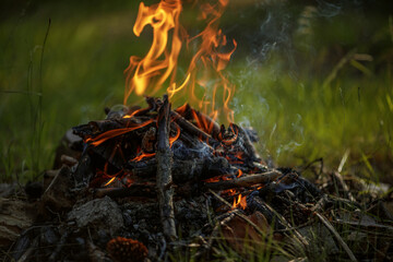 Close up of burning timber bonfire in summer forest..The concept of adventure, travel, tourism, camping, survival and evacuation. - obrazy, fototapety, plakaty