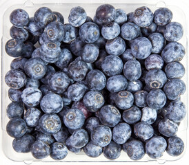 Plastic container of fresh blueberries.