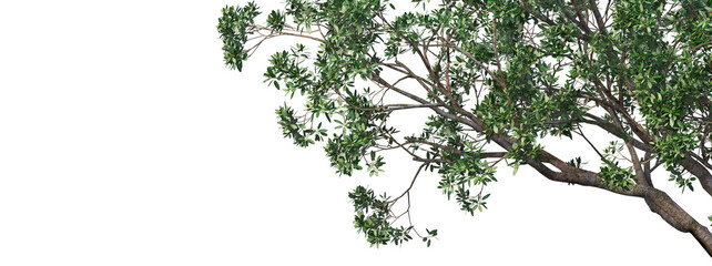 Foreground twigs on a transparent background
