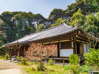 Fototapeta na wymiar Main Hall of the Joruri-ji Temple in Kizugawa City, Kyoto, National Treasure of Japan