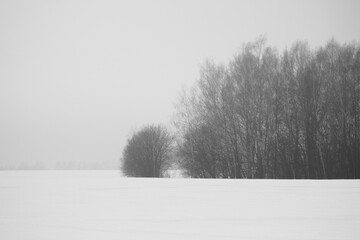 Photo winter landscape snow and bare trees.