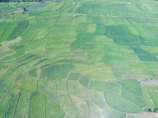 Abstract Defocused Blurred Background Aerial photography a view Plantation and agricultural land in the hill valley in the Cikancung area - Indonesia. Not Focus