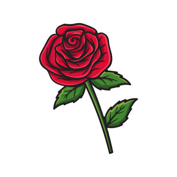 Rose, vector, Illustration, beauty, blossom, bud, floral, flower, flowers, leaf, nature, outline, plant, rose, rosebud