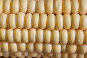 Fresh corn macro natural wallpaper