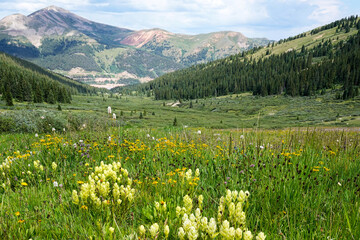 Obraz premium Mayflower Gulch Colorado