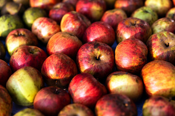 Apples Full Frame Background Close Up