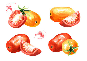 Fresh ripe red and yellow cherry tomatoes  set. Hand drawn watercolor illustration, isolated on white background