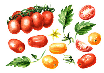 Fresh ripe red and yellow cherry tomatoes set. Hand drawn watercolor illustration, isolated on white background