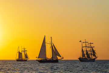Segelschiffe im Sonnenuntergang auf der Hanse Sail in Rostock