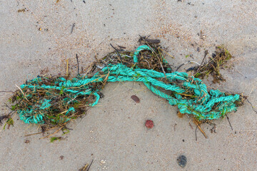 Alien Object on the Beach 26
