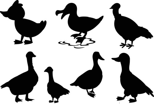 The duck set isolated Vector Silhouettes