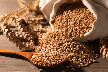Wheat grains with spikelets on wooden table, closeup