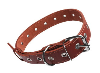 Brown leather dog collar isolated on white