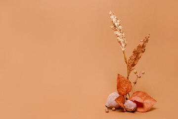 Autumn composition of dried flowers on orange background with copy space. Autumn card thanksgiving,...