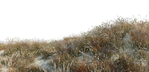 Autumn meadows on a transparent background