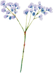 Watercolor Botalnical Florals