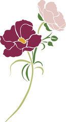 Botanical Flower Illustration Floral