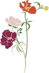 Botanical Flower Illustration Floral
