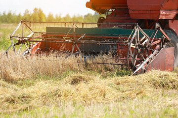 close up of combine slowly drives through the field and harvests the winter wheat crop. Cultivation...