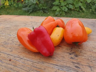Paprika, Spitzpaprika, Mini Paprika