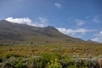 Obraz premium creative