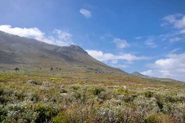 Obraz premium creative