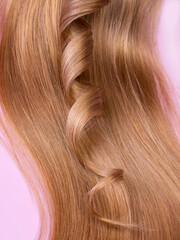 A long strand of light blond with a curl on a pink background. The concept of natural, healthy hair.
Permhair