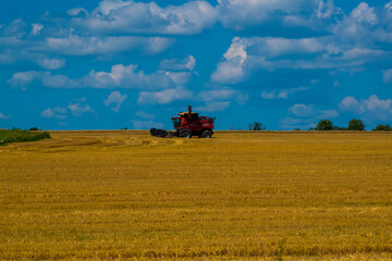 Naklejka premium combine harvester on field