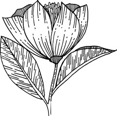 Line Flower and Leaves elements