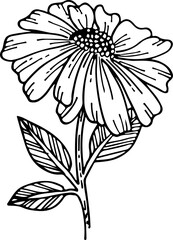 Line Flower and Leaves elements